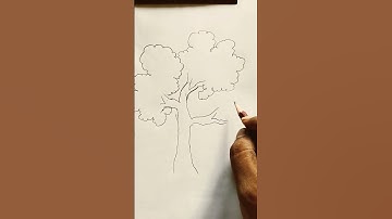 Simple Tree Drawing