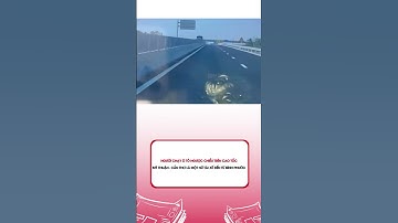 Người chạy ô tô ngược chiều trên cao tốc Mỹ Thuận - Cần Thơ là một nữ tài xế đến từ Bình Phước