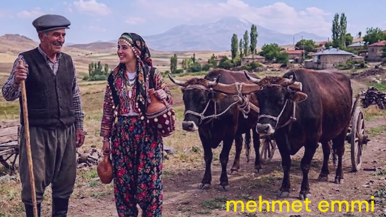 BİR ÇİFT ÖKÜZ YETERMİ AHA MEHMET EMMİ 🧡AŞIK MAHSUNİ ŞERİF