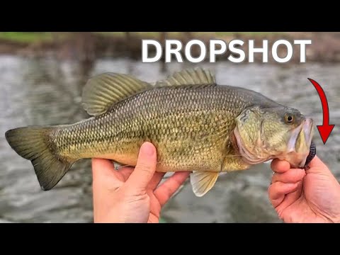 Cold Spring Morning + Finesse = Bass. Silent Kayak Fishing.