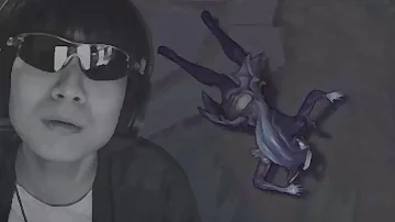 랄로 롤영상 랄로 롤영상