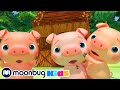 Trois petits cochons   cocomelon en franais  chansons pour bbs   dessin anim