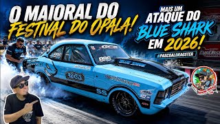 O maioral do Festival do Opala.  Mais um ataque do BLUE SHARK em 2026! 
