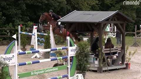 DHT 27-12-2025: Pepper Juice B, mare, 2014 by Pilothago