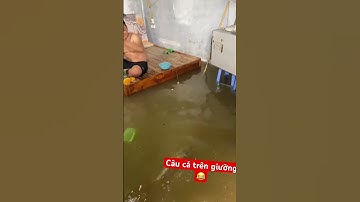 Tin tức lũ lụt - nước ngập cao bà con câu cá luôn trong nhà #shots #tintuc