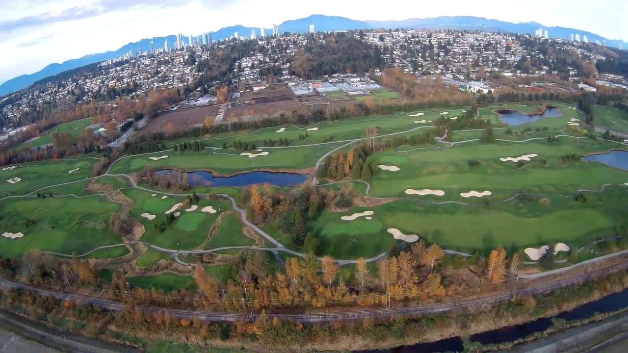 Emax 200 FVP with DAL 3-Blade 5040 V2 props