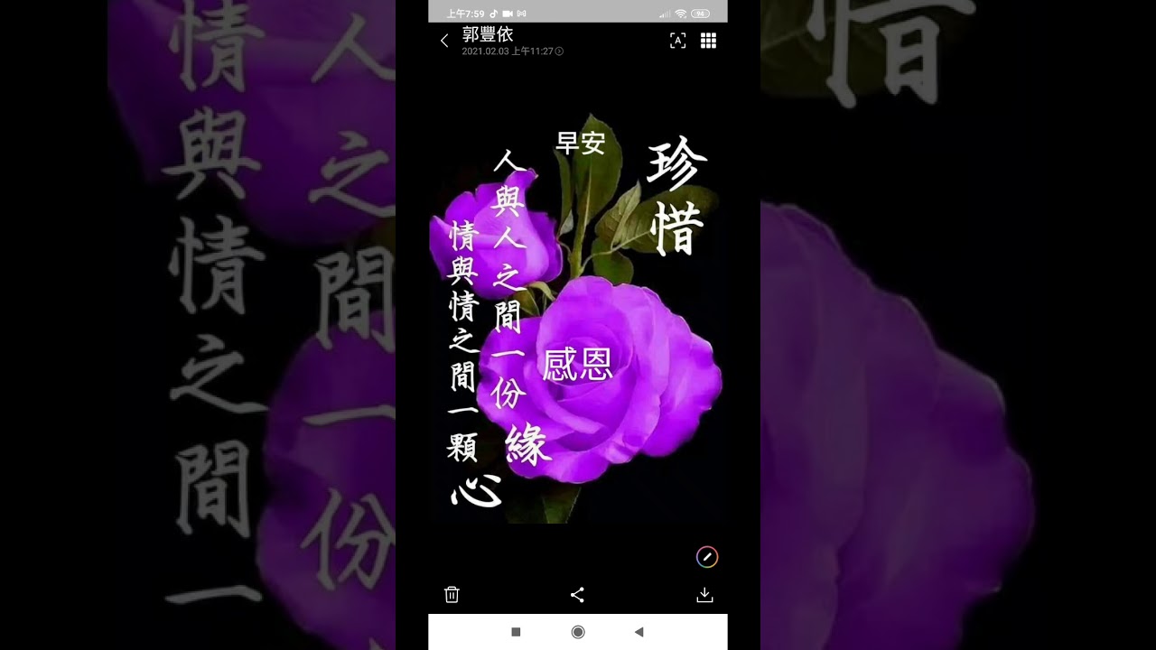 早安問候圖文含玫瑰花，附加的聲音是莎士比亞名言2021-02-06.mp4(2) - YouTube