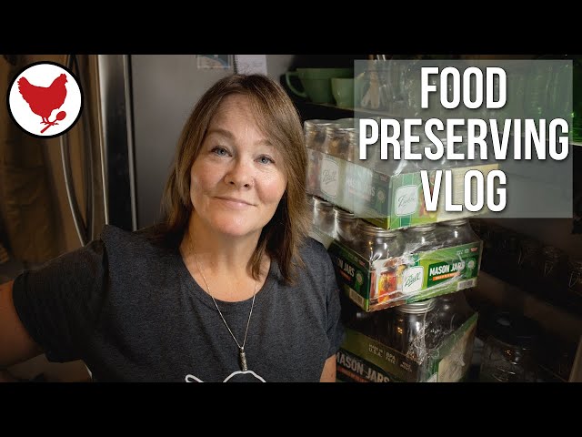 Food Preserving - Homestead Vlog | Kimchi, Knives & Herbal Remedies