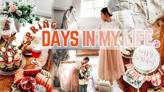 WEEKEND VLOG: indoor luxury picnic, date night, & cooking adventures! | Mennonite Mom Life