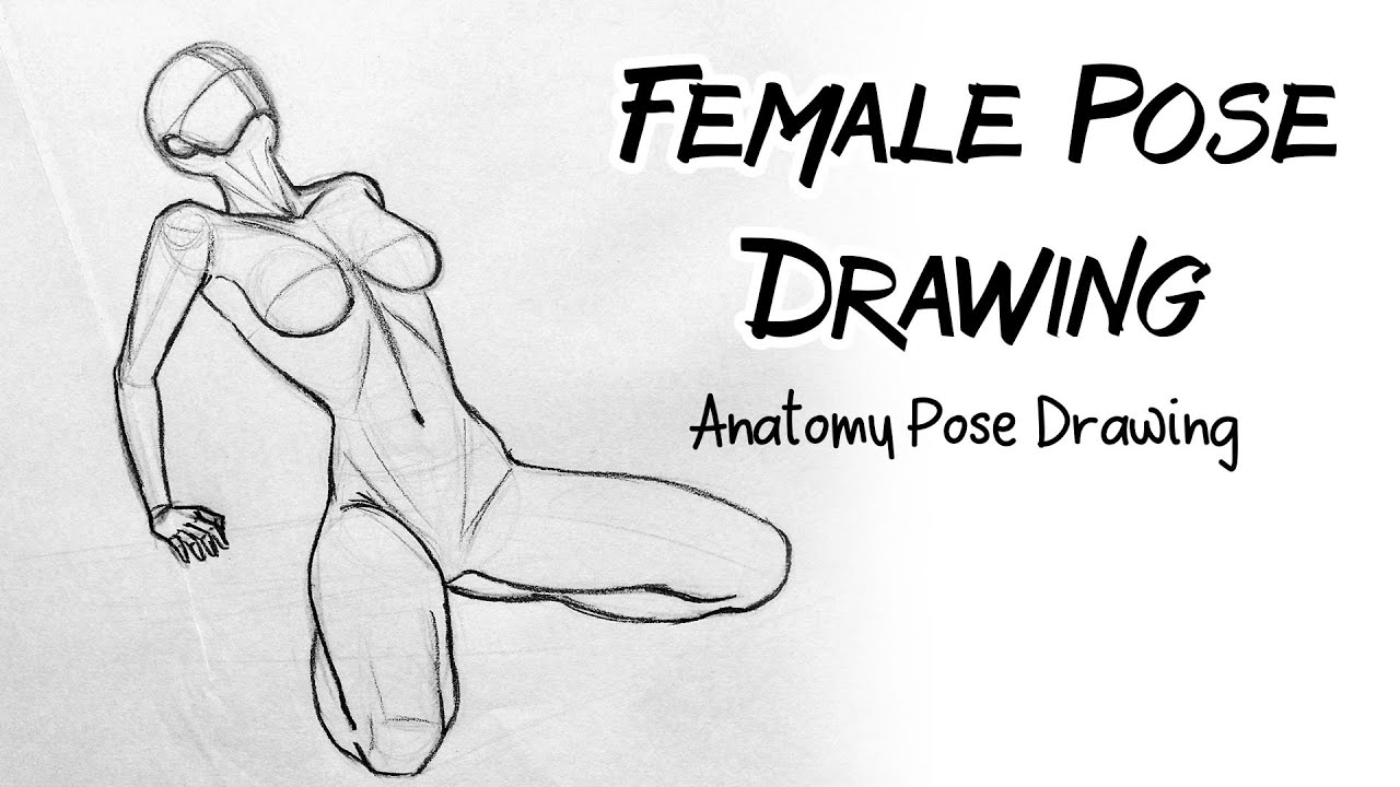 Human Body Sketch Collection Photos and Images | Shutterstock