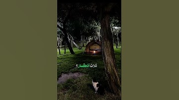 3 أذكار تغفر لك كل ذنوبك🚨