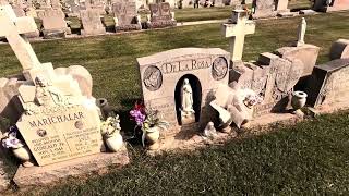 Calvary Catholic Cemetery walk!