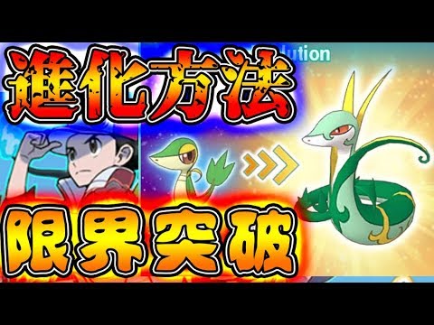 ポケモンマスターズ 進化方法