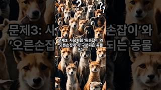 매일 매일 지식 레벨업!!#지식 #올바른정보 #이슈 #상식적인 #정보 #동물