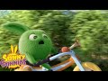 SUNNY BUNNIES - Speed Bike | Season 3 | Cartoons for Children