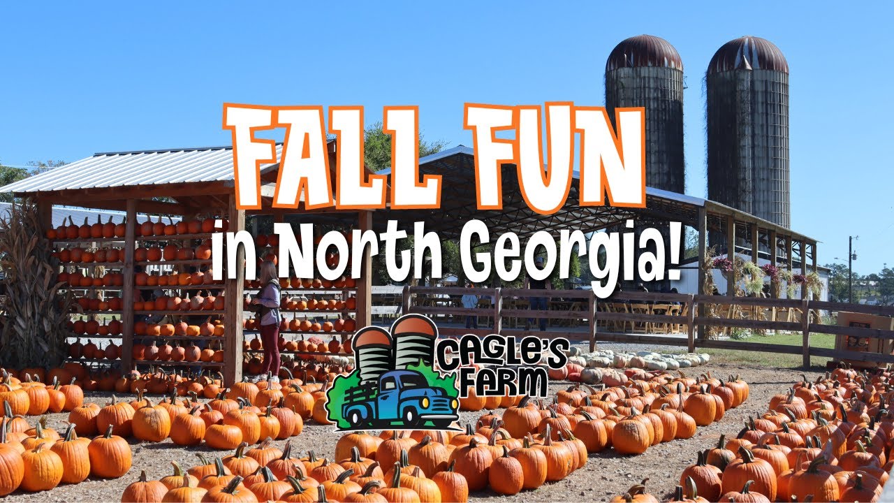 Cagle's Farm Fall Fun YouTube