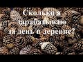 Сколько я зарабатываю за день в деревне