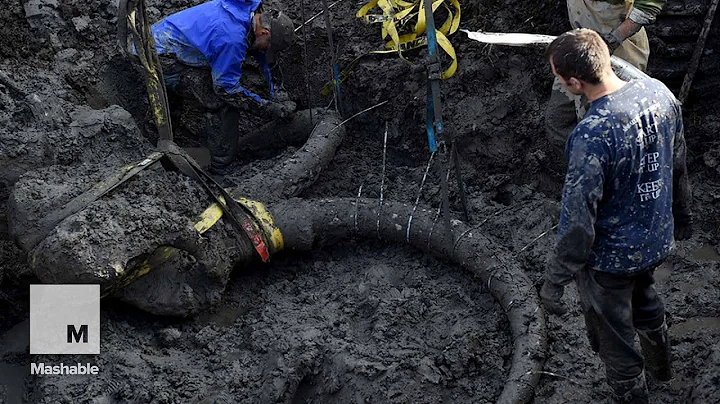 Nearly Complete Mammoth Skeleton Found on Michigan Soy Farm | Mashable - DayDayNews