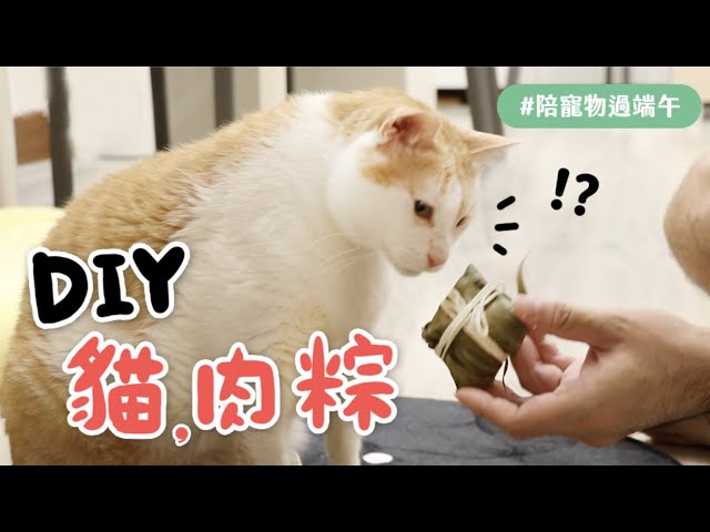【黃阿瑪的後宮生活】DIY貓肉粽 #陪寵物過端午