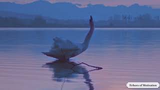 Nature And Soul Daily Motivation