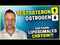 Testosteron steigern mit liposomalem CHRYSIN? Östrogen runter und Muskelaufbau verbessern?