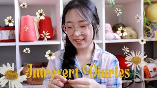 Solo Outings, Mold Illness, Cozy Holiday Gift Knitting Introvert Diaries