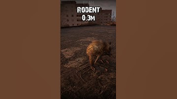 Mutants Size Comparison P1 #stalker #stalker2 #comparison