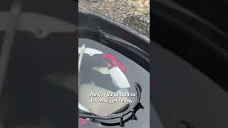 Teen Gets Terrifying Surprise After Finding Venomous Snake in Football Helmet