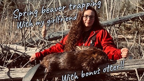 Spring beaver/otter trapping