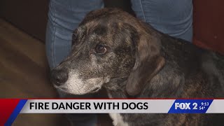Pacific kitchen fire may have started with dog turning stove knob