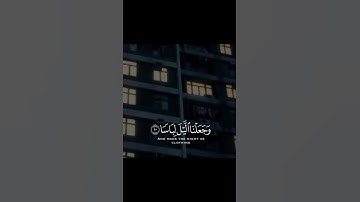 حالات وات ساب 💞💞💞آيات القرآن الكريم 💝💝💝تلاوات هادئة وخاشعة🌴 💗🤍🖤مقاطع إسلامية و دعوية🌴