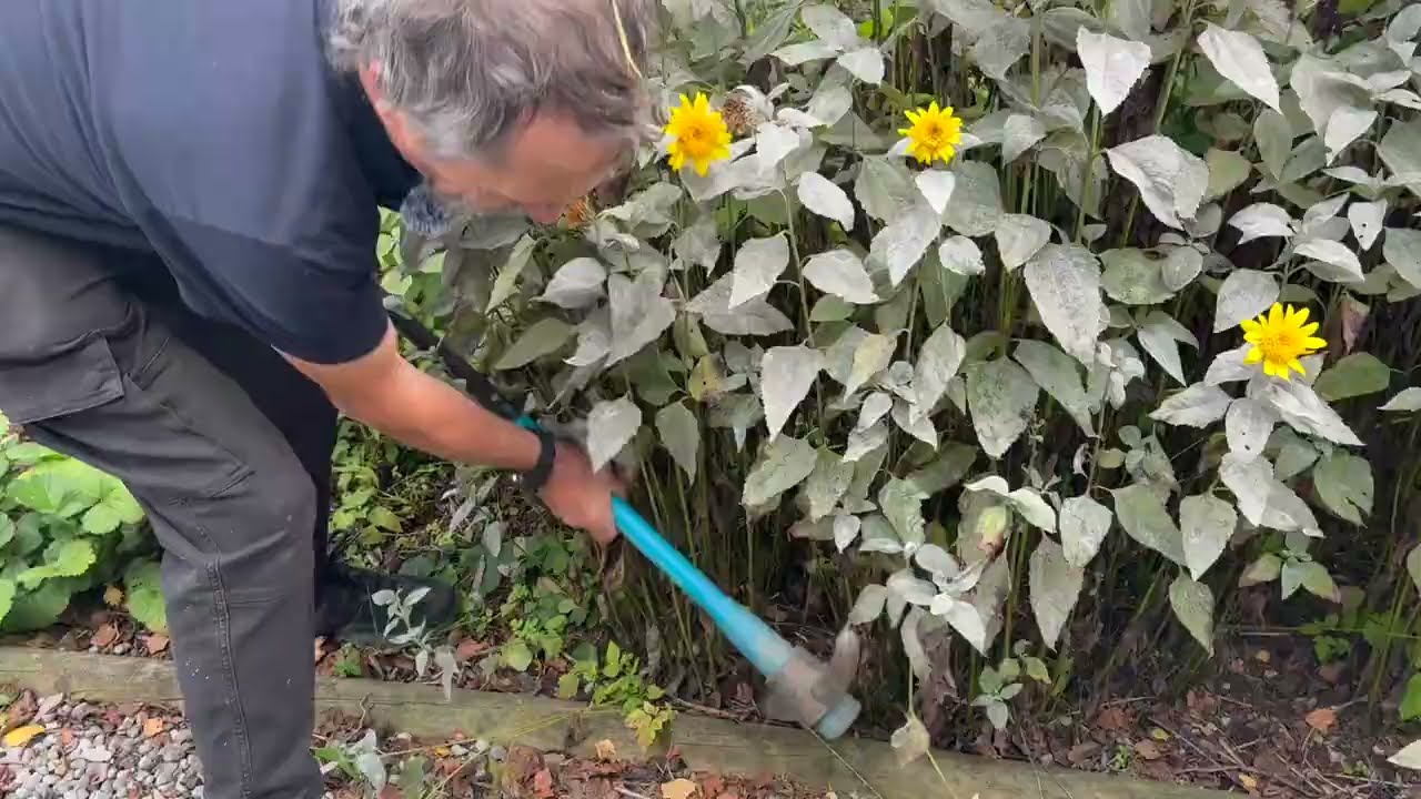 Weeding With a Pickaxe & Bamboo-Like Plants