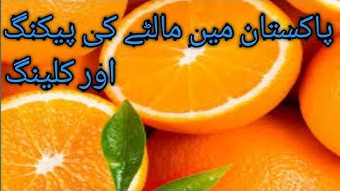 Orange color sorter machine, oranges weight and quality strong, washing waxing packing procesing