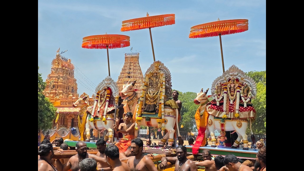 நயினாதீவு ஸ்ரீ நாகபூசணி அம்பாள் ஆலய பன்னிரண்டாம் நாள் காலைத்திருவிழா