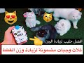 ثلاث وجبات مضمونة لزيادة وزن القطط الصغيره و الكبيره 😻💕 / Mohamed Vlog