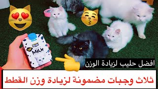 ثلاث وجبات مضمونة لزيادة وزن القطط الصغيره و الكبيره  / Mohamed Vlog
