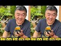 这个公道杯估计又会有人喷 破涕为笑 破涕为笑 破涕为笑 但是我还是挺喜欢的 期待我的铁包金主人杯 非遗传承 银壶 非遗 金工 铁包金 传统文化 东方美学 东方艺术 这个公道杯估计又会有人喷 破涕为笑 破涕为笑 破涕为笑 但是我还是挺喜欢的 期待我的铁包金主人杯 非遗传承 银壶 非遗 金工 铁包金 传统文化 东方美学 东方艺术