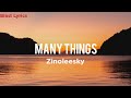 Many Things - Zinoleesky (Lyrics)