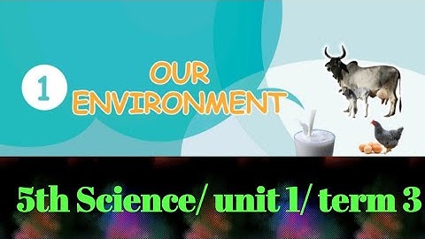 Our Environment/5th standard /science /unit 1/ term 3/ samacheer kalvi/
