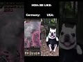 GERMANY VS USA IN HOI4 BE LIKE...  #heartsofiron4 #hoi4meme #hoi4