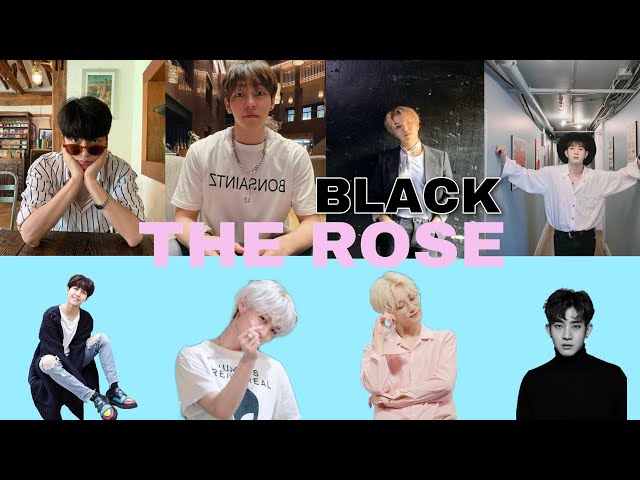The Rose - Black Rose (Lyrics) class=