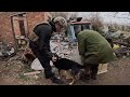 Heroes Rescue Abandoned Dogs & Animals Found During War