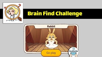 Brain Find Rabbit Challenge Walkthrough