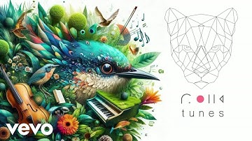 Rolla Tunes - Close The Chapter (Official Music Video)