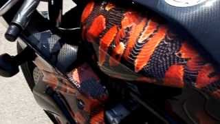 hydrographic moto carbone & red snake