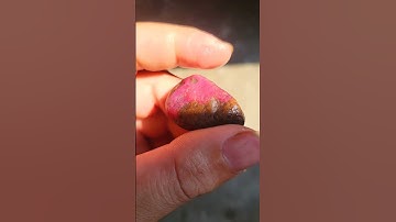 Ruby Yên Bái thô màu đẹp 1 thịt bọc chất đỏ tươi #love #beach #edm #gem #ruby