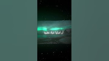 سورة النساء|| اية ٢٧ الى ٢٨ بصوت القارئ محمد اللحيدان #المصحف #قرآن_كريم #محمد_اللحيدان