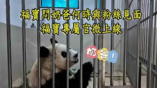 福寶最新視頻 福寶專屬官微上線講述福寶和奶爸天團的快樂日常