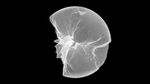 Marius Chwalek - Ram