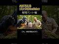 🦍秘境グンマー編、第二章開幕。たけしの実家に潜入したら—— #aiゴリラ #aivideo #ai #aishorts
